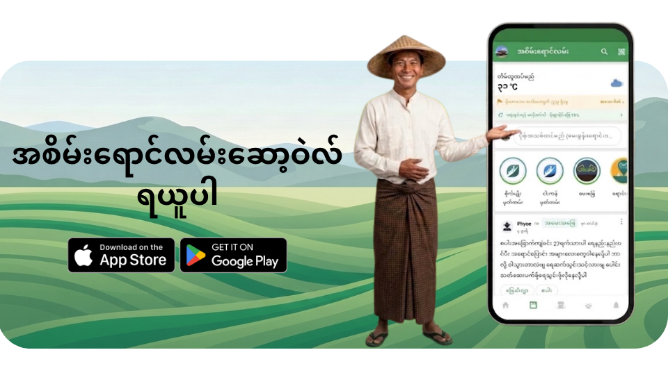 အစိမ်းရောင်လမ်း အက်ပ် ရယူပါ